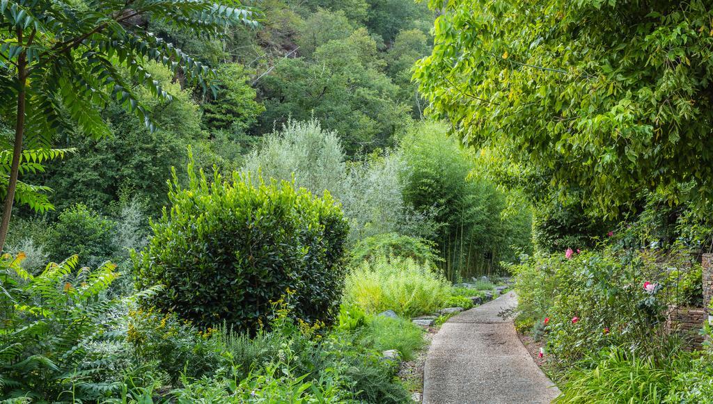 Moulin De Conques -Hotel De Charme Ngoại thất bức ảnh