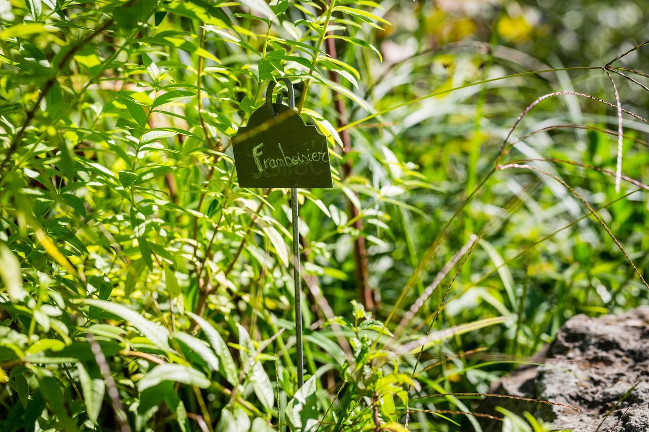 Moulin De Conques -Hotel De Charme Ngoại thất bức ảnh